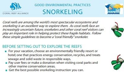 snorkel-guideline-header